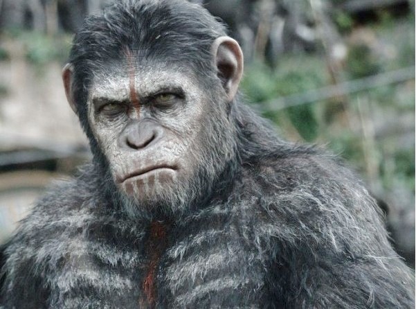stasera-in-tv-apes-revolution-ll-pianeta-delle-scimmie-su-italia-1-3.jpg