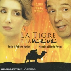 Stasera in tv su Rai 3 La tigre e la neve con Roberto Benigni (7)