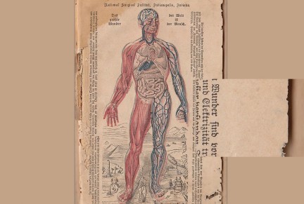 Aladygma: aggiornamento numero 9, il corpo umano