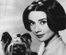 Audrey Hepburn con cane, 1 gennaio 1956