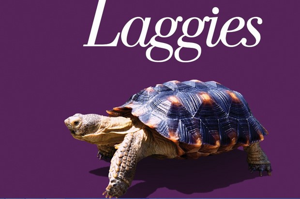 Laggies trailer e poster della commedia con Chloe Moretz e Keira Knightley (2)