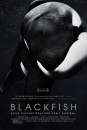 Blackfish - locandina del documentario