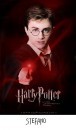 Concorso Harry Potter: votate il vincitore