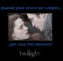 Concorso Twilight: ecco il vincitore del libro