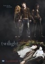 Concorso Twilight: ecco il vincitore del libro