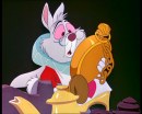 Film con i conigli: i 10 preferiti da Cineblog