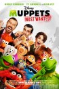 I Muppet 2- primo poster e foto del sequel di James Bobin