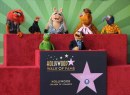 I Muppet ricevono una stella sulla Walk of Fame