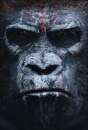 Il pianeta delle scimmie: Revolution - locaandina italiana e poster internazionali del sequel di Matt Reeves