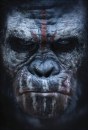 Il pianeta delle scimmie: Revolution - locaandina italiana e poster internazionali del sequel di Matt Reeves