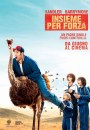 Insieme per forza - Blended: locandine italiani della commedia con Adam Sandler e Drew Barrymore