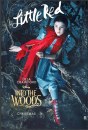 Into the Woods - 10 nuovi poster del film Disney