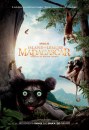 Island of Lemurs: Madagascar - poster del documentario in 3D narrato da Morgan Freeman