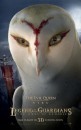 Legend of the Guardians: The Owls of Ga’Hoole - otto splendidi character poster
