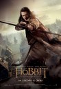 Lo Hobbit: La desolazione di Smaug - 6 character poster italiani