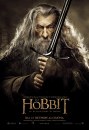 Lo Hobbit: La desolazione di Smaug - 9 poster italiani del sequel di Peter Jackson