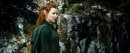 Lo Hobbit: La desolazione di Smaug - prime immagini ufficiali 5