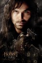 Lo Hobbit: pioggia di character poster