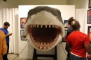 Lo squalo - 45 immagini dalla mostra di Los Angeles sul cult di Steven Spielberg