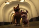 Space Dogs 3d: le foto del film con i cani spaziali della Russia