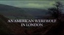 Stasera in tv - Un lupo mannaro americano a Londra: