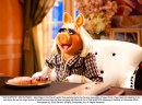 The muppets images