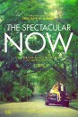 The Spectacular Now: poster