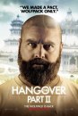 Una notte da Leoni 2 - The Hangover 2: poster dei protagonisti